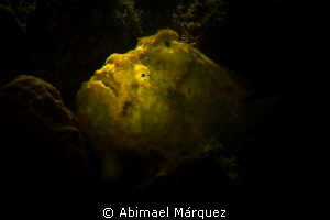 Chiaroscuro, Rembrandt technique. by Abimael Márquez 